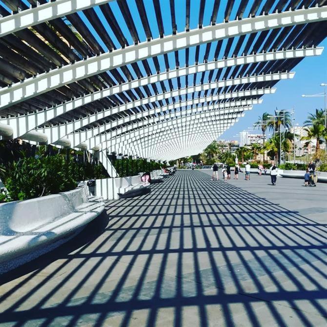 Homely Apartments Casa Carmen Torrevieja Exteriör bild